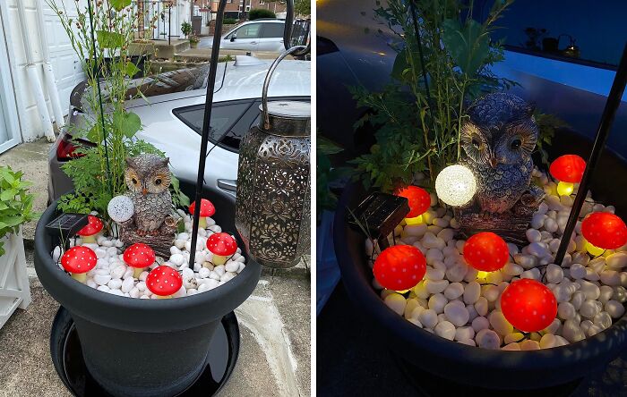 Sprout Some Whimsy In Your Yard With These Delightful Waterproof Solar Mushroom Lights 