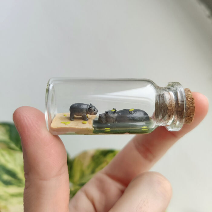 I Made Little Pygmy Hippos In A Bottle