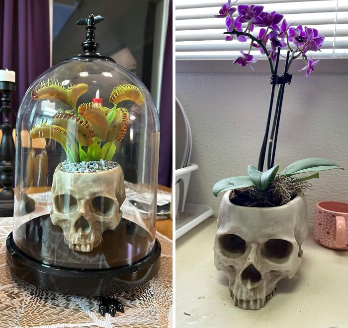 Add A Touch Of Macabre Whimsy To Your Home Decor With This Realistic Looking Resin Skull Planter 