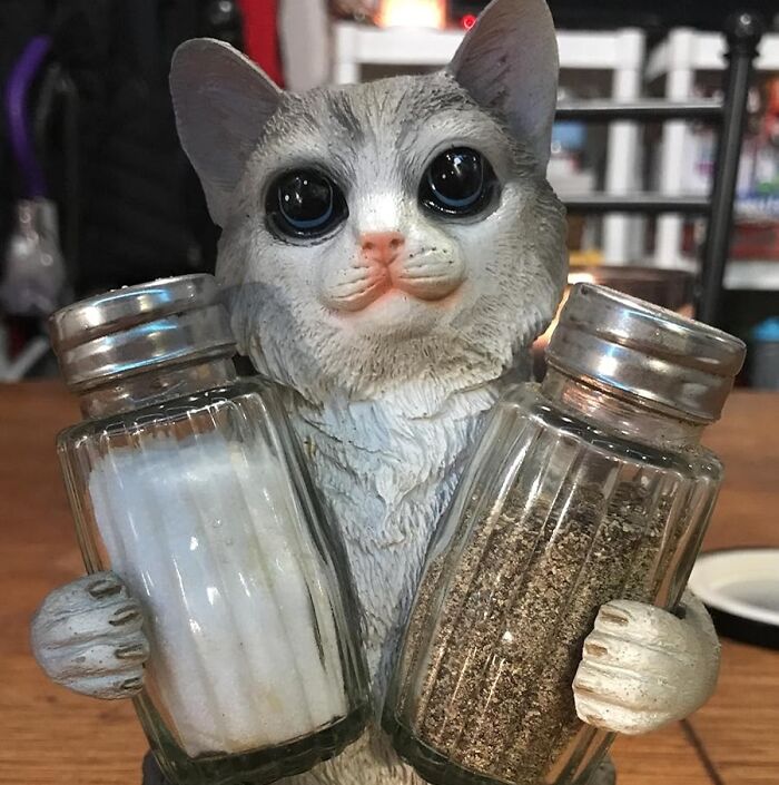 Perched On Your Dinner Table Like A Pair Of Feline Familiars, The Creepy Cat Holding Salt And Pepper Shakers Regard You With An Unblinking Gaze, Their Paws Grasping The Seasoning Containers With A Possessive, Almost Malignant, Intensity