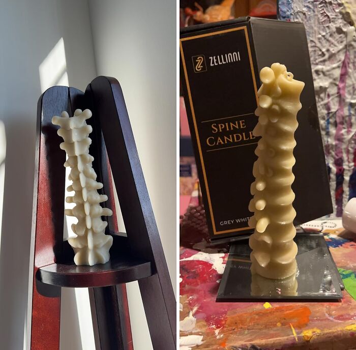 A Beacon Of Macabre Elegance, The Spine Candle Casts Flickering Shadows That Dance Like Restless Spirits, Its Bony Contours A Grim Reminder That Even The Most Refined Ambiance Can Have A Dark, Sinister Core