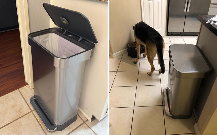 Tired Of Cleaning Up After Your Pet's Midnight Snack Raids? This Step Trash Can Is The Perfect Way To Keep Your Trash Out Of Reach And Your Floors Clean