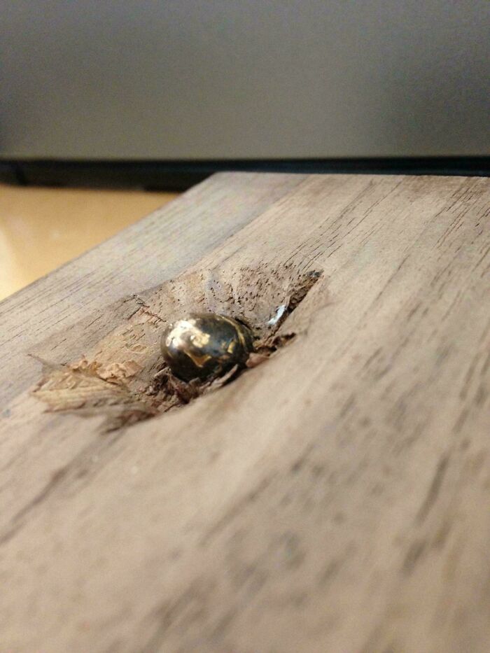 Close-up of a woodworking project with a metal object embedded in wood, showcasing impressive craftsmanship details.