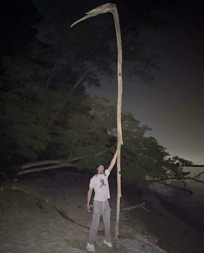 Person standing beside an impressively tall stick on a dark beach, showcasing an absolute unit of nature.