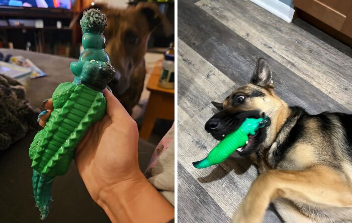 Chew On This (Not The Furniture)! These Dog Chew Toys For Aggressive Chewers Are Built To Last