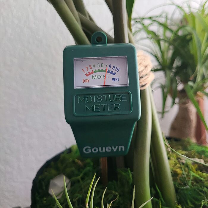 This Handy Soil Moisture Meter Takes The Guesswork Out Of Watering, Providing Accurate Readings To Help You Determine When Your Plants Need Hydration, Ensuring They Receive Just The Right Amount Of Water For Optimal Growth