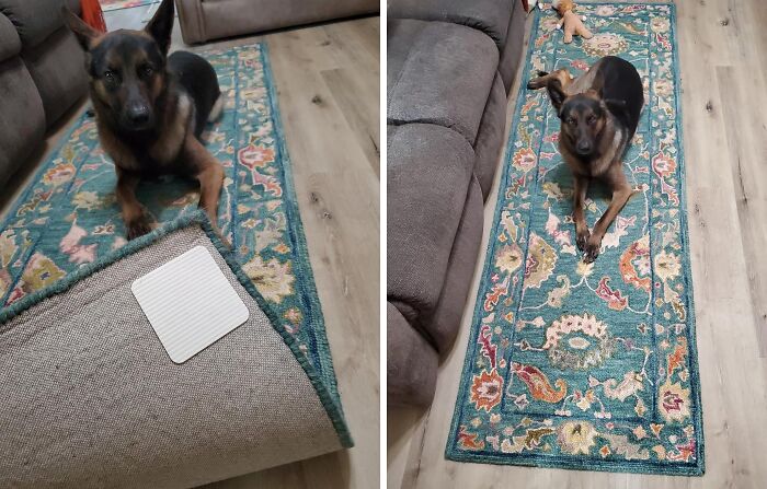  This Owner Probably Invested In These Rug Gripper Pads Because His Doggo Has A Few Too Many Zoomies