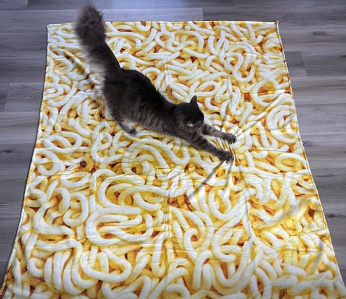  This Kitty Is Right On Trend With His Ramen Blanket Obsession 