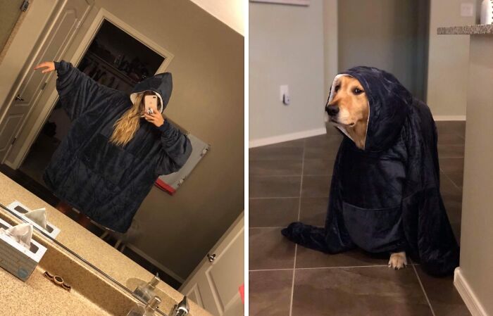  This Poor Pup Doesn't Know Whether To Laugh Or Cry Inside His Wearable Blanket 