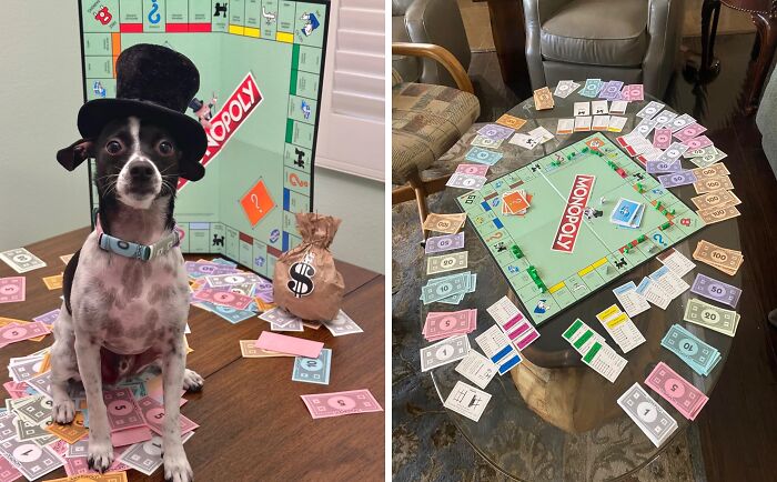 Bankrupt, Broken, Or Hopeful? This Monopoly Game Will Put Your Family's Financial Savvy To The Test, And Possibly End In A Heated Battle Over Park Place