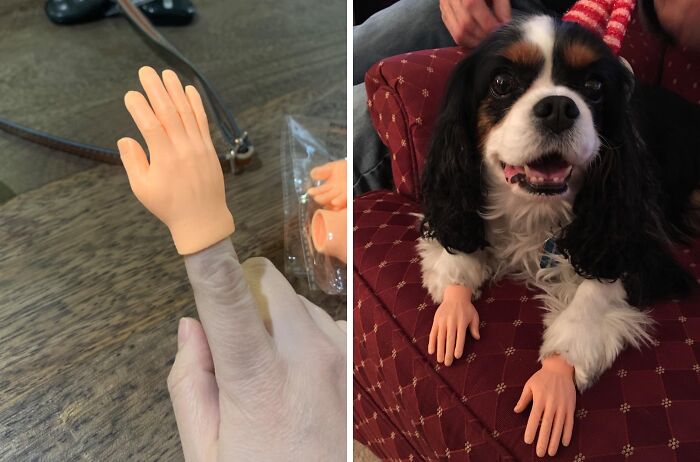  Tiny Hands Makes Everything 100 Times Funnier, Guaranteed