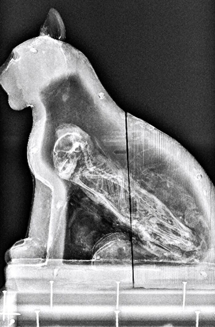 An X-Ray Scan Of A Sarcophagus From Saqqara, An Ancient Burial Ground South Of Modern-Day Cairo, Uncovered The Presence Of A Cat Inside