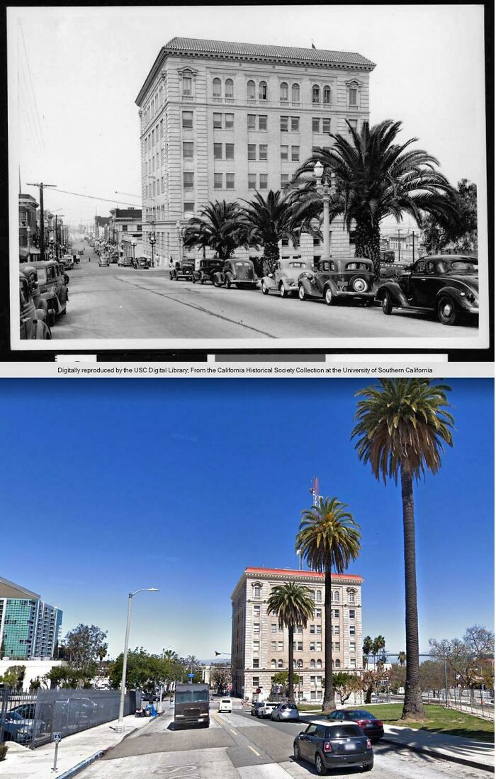 San Pedro City Hall 1930's vs. 2018 - Look How Those Palm Trees Grew!