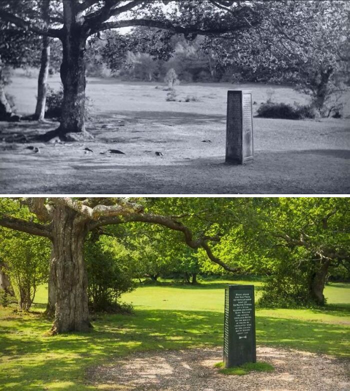 My Local National Park Authority Shared This 100-Year Grow-Up! May 1921 - June 2021!