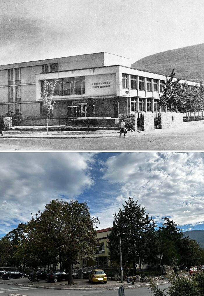 My High School Right After Its Completion (1965). Fine And Luscious Growth On The Trees In And Outside Of It!