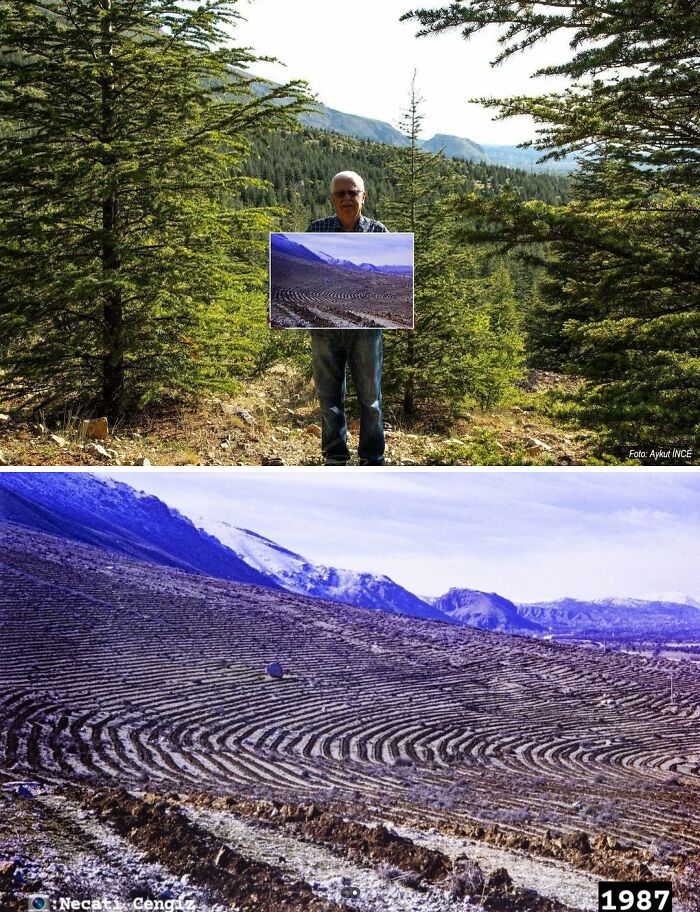 Forestation Of Uluborlu, Isparta In Turkey ( 34 Years Difference)