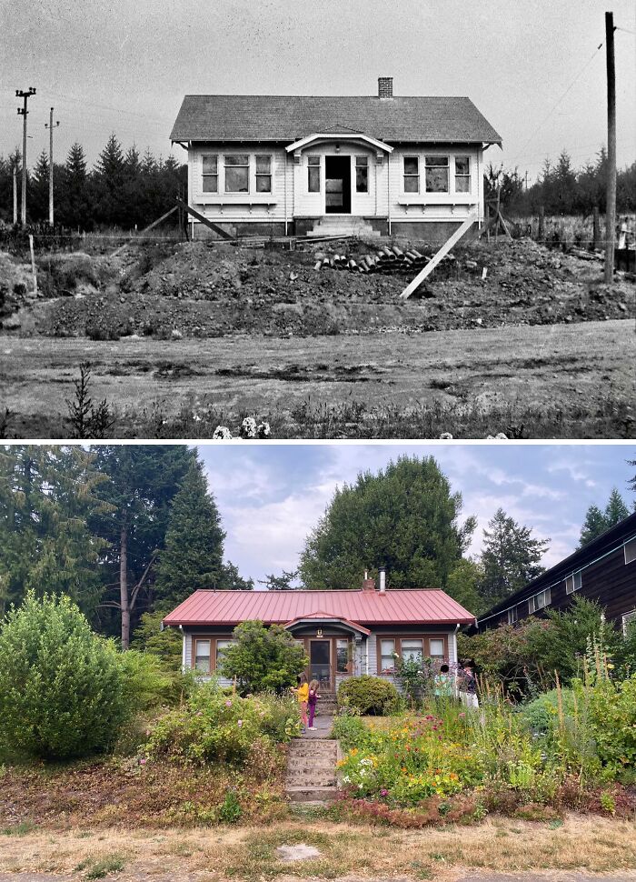 Trees After 102 Years