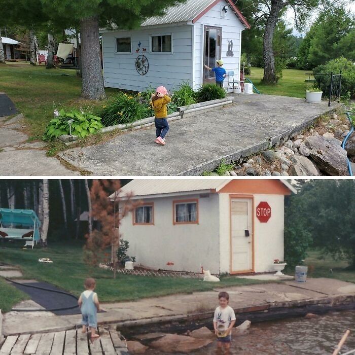 31 Years Of Tree Growing Up