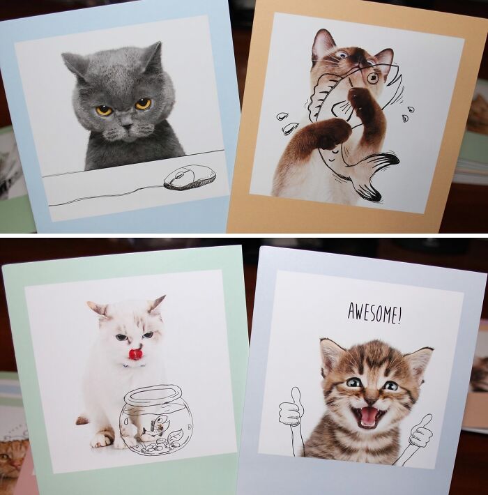 Purr-Fectly Hilarious And Totally Blank, These Funny Blank Cat Cards Are Just Waiting For Your Witty Words