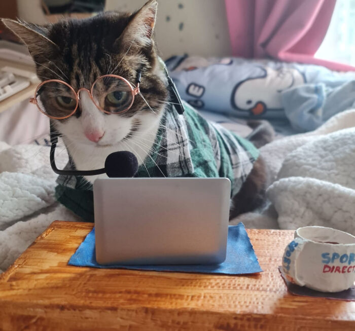 I Dressed My Cat As A Call Centre Agent For Halloween