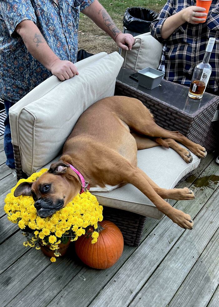 That’s Not A Flower Bed, Winnie