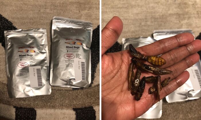 Snack On Something Truly Unsettling With The Unnervingly Unique Bag Of Mixed Edible Bugs