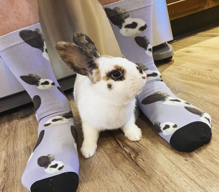 Because They Said They Didn't Want Anything, But You Know They Secretly Want To Wear Your Face On Their Feet - Custom Socks With Your Face On Them Is The Ultimate Passive-Aggressive Gift