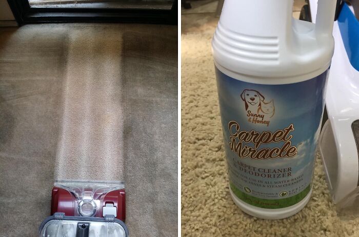 This Carpet Cleaner Shampoo Solution Has Deep Cleaned And Refreshed Countless Carpets, Leaving Them Looking Like New