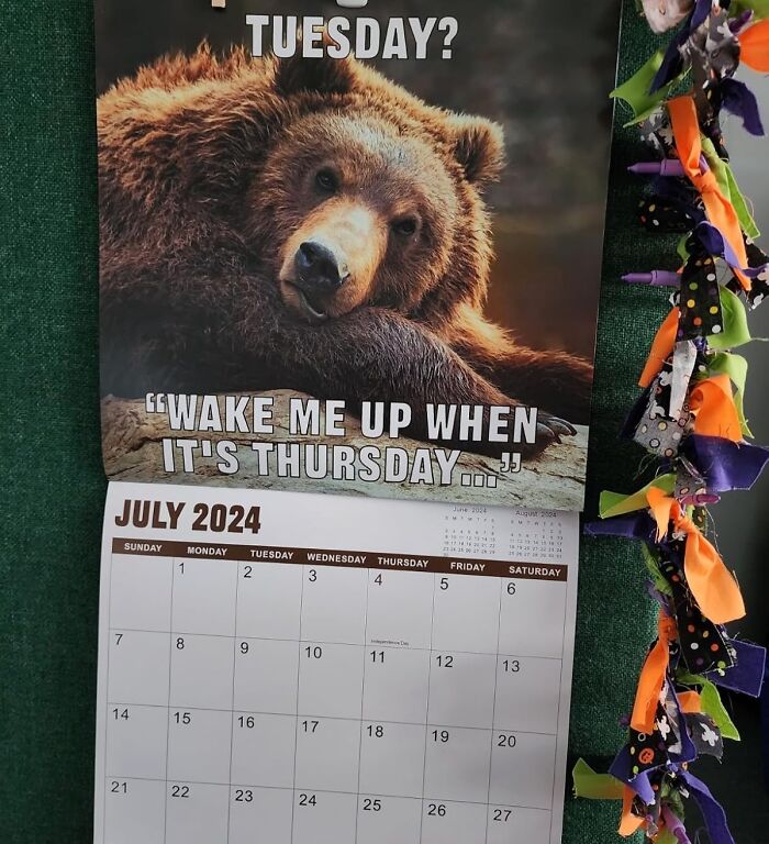 Bring A Year's Worth Of Laughs And Internet Culture To A Friend's Wall With The 2025 Meme Calendar, A Gift That's Relatable, Ridiculous, And Ripe For The Milking!