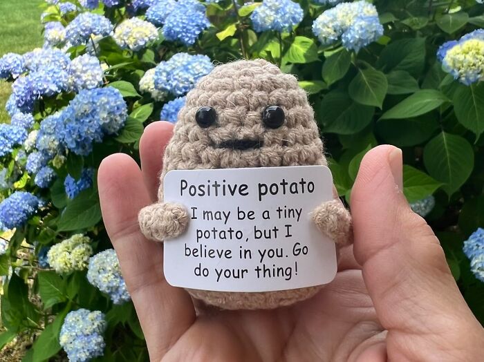 Plant A Seed Of Positivity In A Friend's Life With The Positive Potato