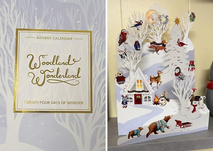 Deck The Halls With The Paper Woodland Decorations Advent Calendar - 24 Days Of Cut-Out Critters And Decorative Delights To Make Your Christmas Tree Go Wild!