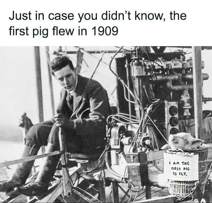 A vintage meme humorously depicting a pig flying in 1909, with a pilot and aircraft, explaining history beyond textbooks.