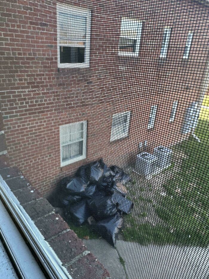 Neighbor Threw All This Trash Out Her Window And Keeps Throwing More. Today's Friday, And Management Won't Be Available Until Monday