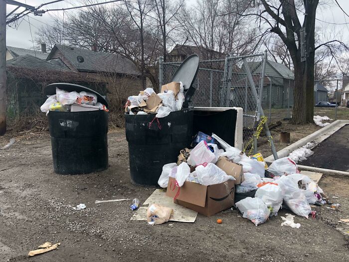 The Dumpsters Behind My Apartment Building Have Not Been Emptied In 3.5 Weeks