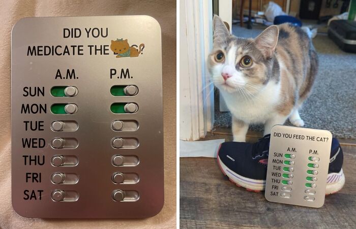 Stay On Top Of Feline Feeding Duties With Military Precision Using The "Did You Feed The Cat" Tracker , A Planner's Best Friend