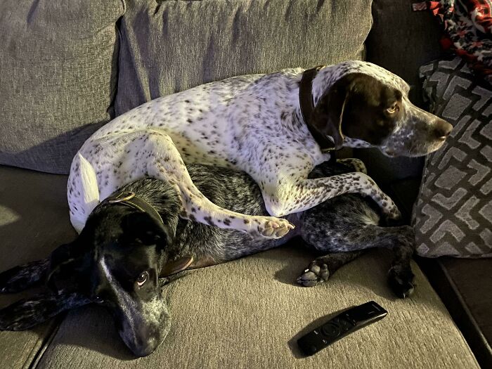 Booker Not Understanding Personal Space