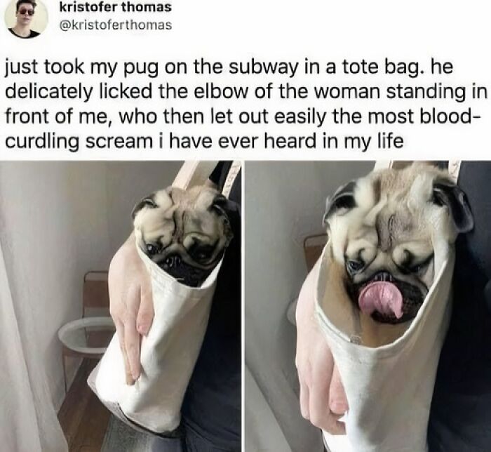 Funny-Chonky-Woofers-For-My-Depression-Memes