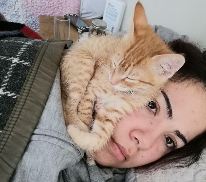 This Is Dorito. Dorito Doesn't Understand What Personal Space Is. I Woke Up Like This This Morning