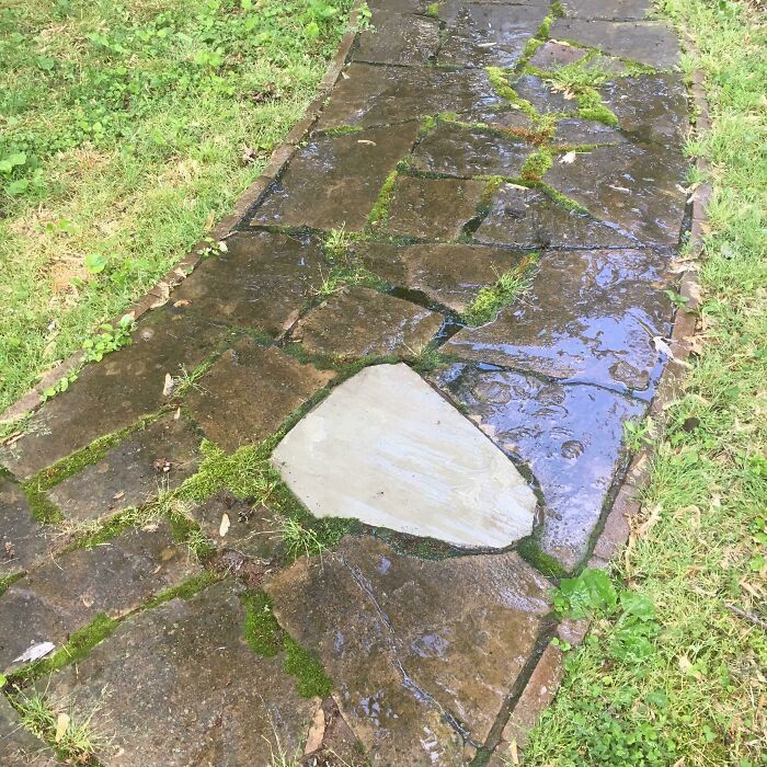 I Laughed Out Loud After We Power Washed This Stone. What A Ridiculous Difference!