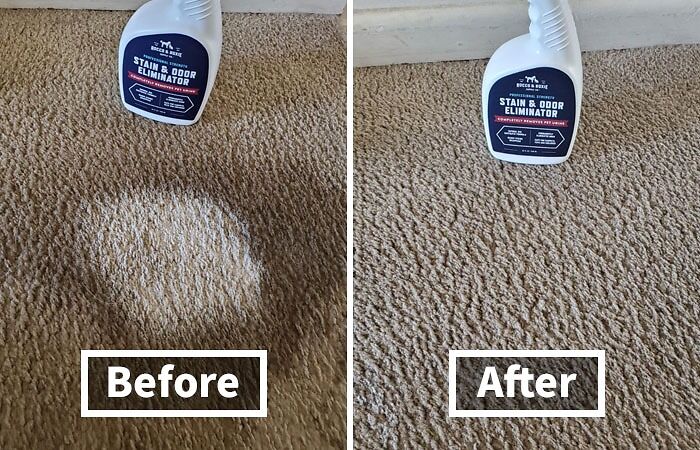 Lift Away Tough Stains And Lingering Smells That Have Been Building Up All Year With Some Stain And Odor Eliminator