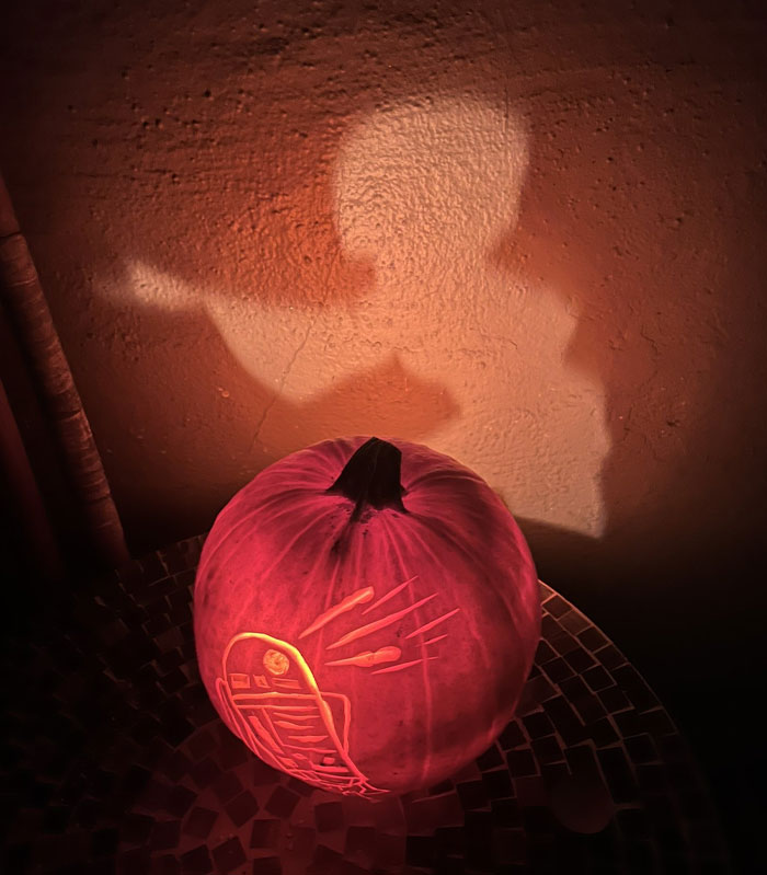 Made My Star Wars Silhouette Pumpkin