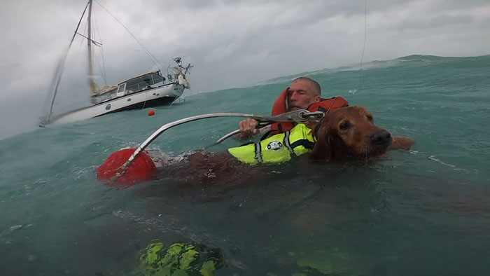 Hurricane Traps Man And His Dog On The Ocean, They Manage To Call The Coast Guard And Get Rescued