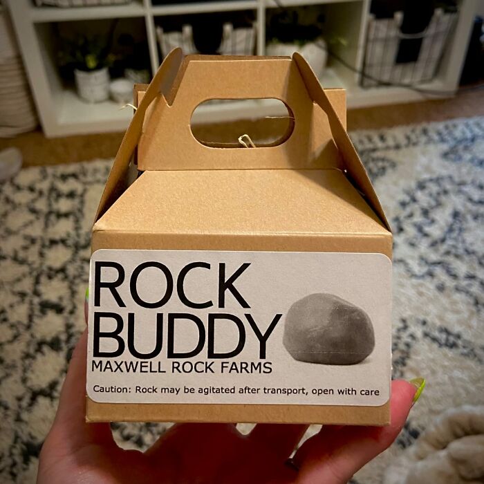 Become The Ultimate Pet Rock Parent With This Bizzare Rock Buddy With Full Training Manual And Bedding That Takes Companionship To A Whole New Level Of Absurdity