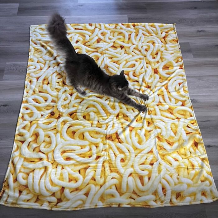 Wrap Yourself In A Cozy Cocoon Of Sodium-Laden Comfort With This Disturbingly Realistic Ramen Blanket That'll Make You Crave Msg In Your Sleep