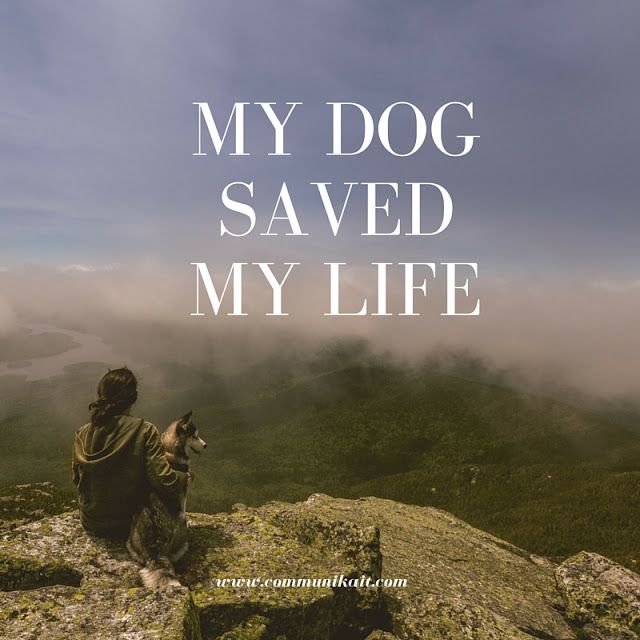 My Dog Saved My Life