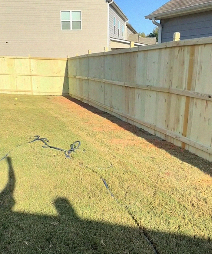 “I Was Trying To Be Kind”: Woman Gives Neighbor A Shot At Bigger Lawn, Faces Rudeness Instead