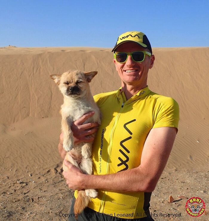 Stray Dog Runs 80 Miles With Athlete In Chinese Desert, Finds A New Home