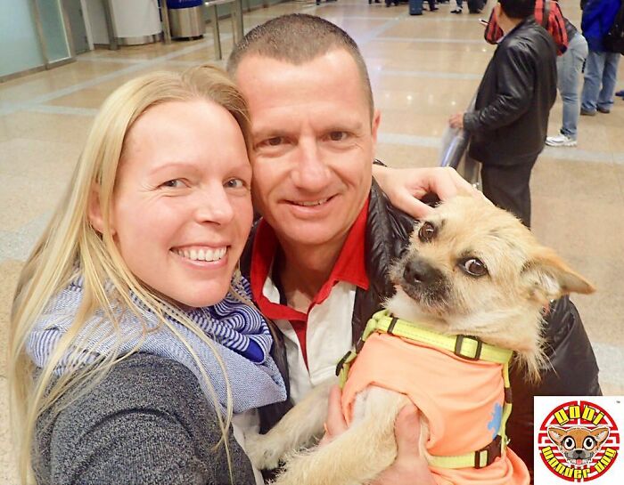 Stray Dog Runs 80 Miles With Athlete In Chinese Desert, Finds A New Home