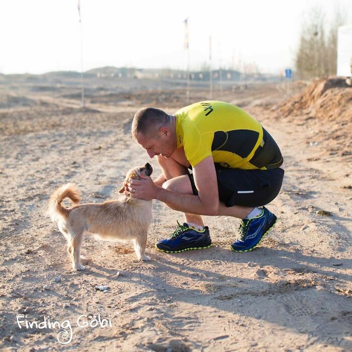 Stray Dog Runs 80 Miles With Athlete In Chinese Desert, Finds A New Home