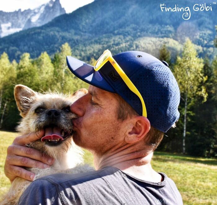 Stray Dog Runs 80 Miles With Athlete In Chinese Desert, Finds A New Home